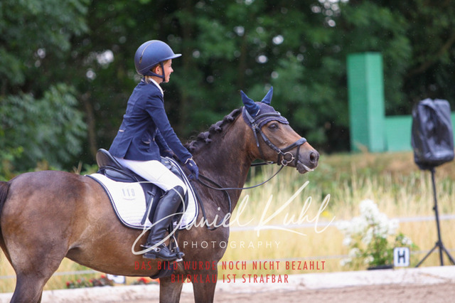 DKP47087 | Turniersportfotografie; Pferdefotografie; Dressurfotografie