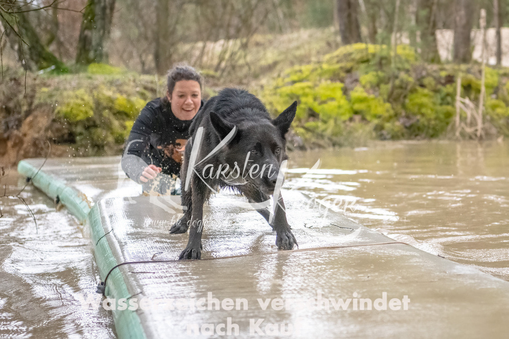 0901_ZZ90168-Bearbeitet | kk-dogfotos