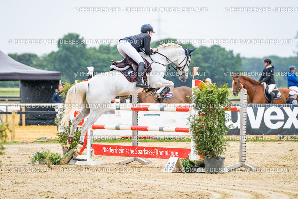 DSC07771 | Pferdegrafie