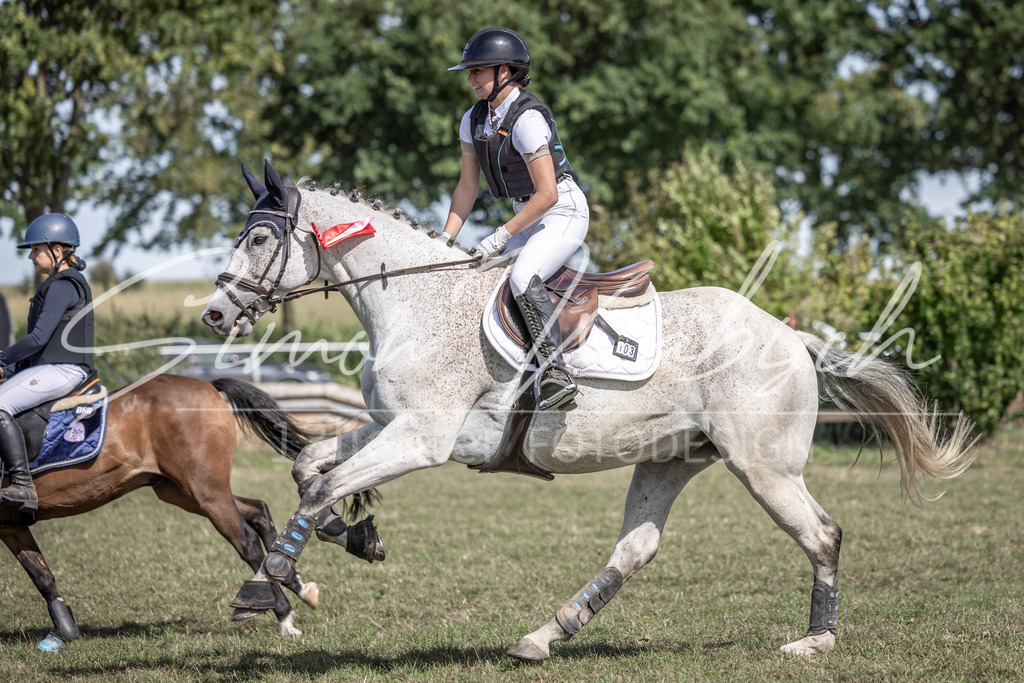 20250907-_3LI0379 | Tierfotografie Pferde, Hunde, Katzen, Haustiere.
Turnierfotografie Reitturniere, Reiten, Springreiten, Dressur in Hanau, dem Main-Kinzig-Kreis und dem Rhein-Main- Gebiet um Frankfurt