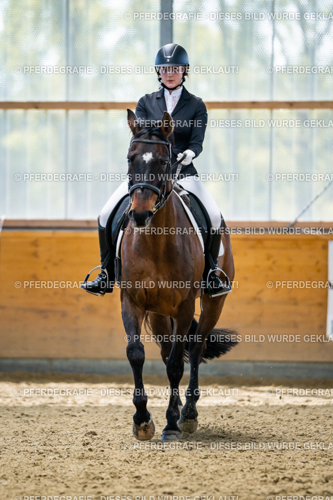 DSC05749 | Pferdegrafie