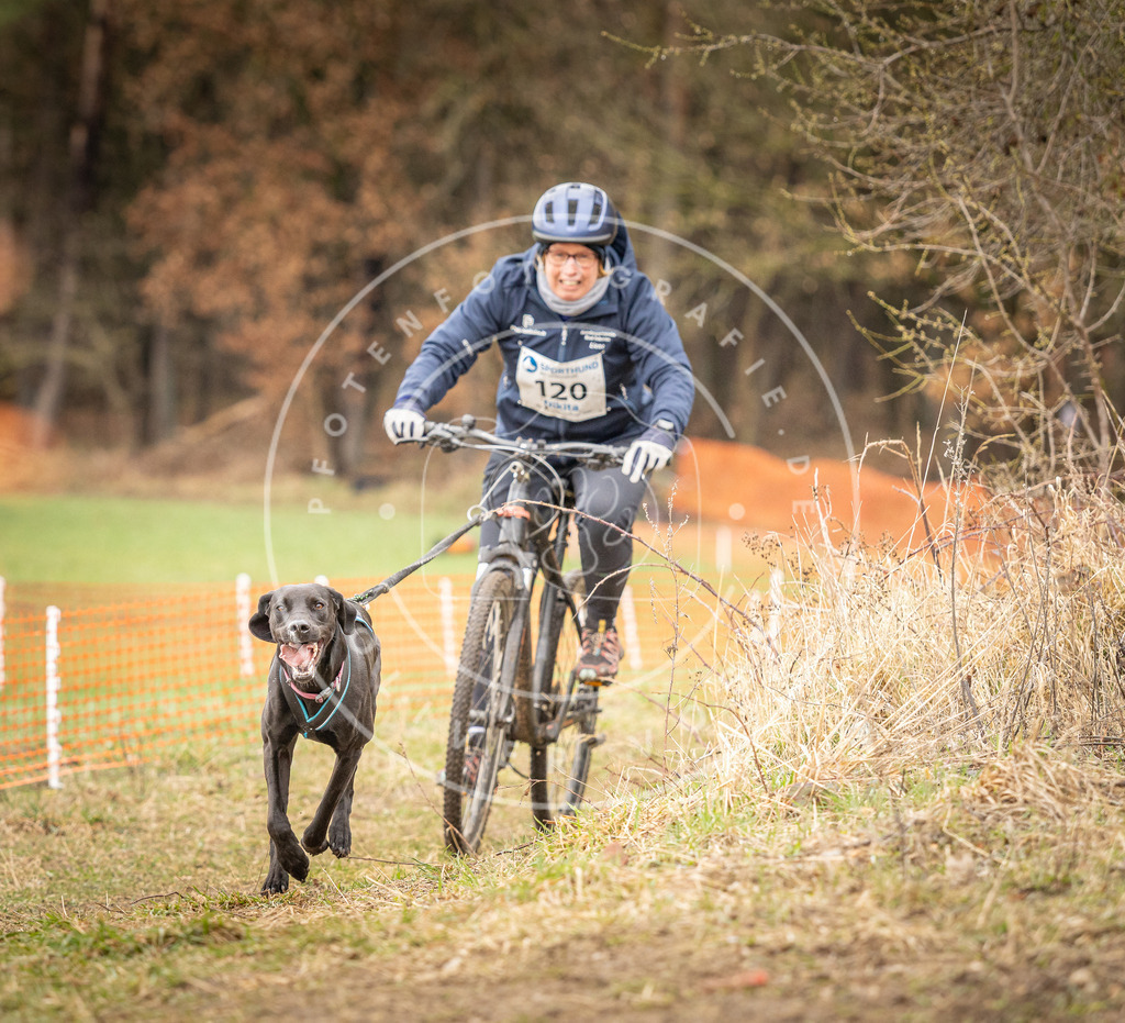 DV3A1060 | Hundefotografie, Tierfotograf, Pfotenfotografie, Fotoshooting Hund, Hunde Portrait, Hundesport, Hundeportraits, Heideshooting, Hunde, Sportfotograf, Hundefotograf, Turnierhundsport, THS,  - Realisiert mit Pictrs.com