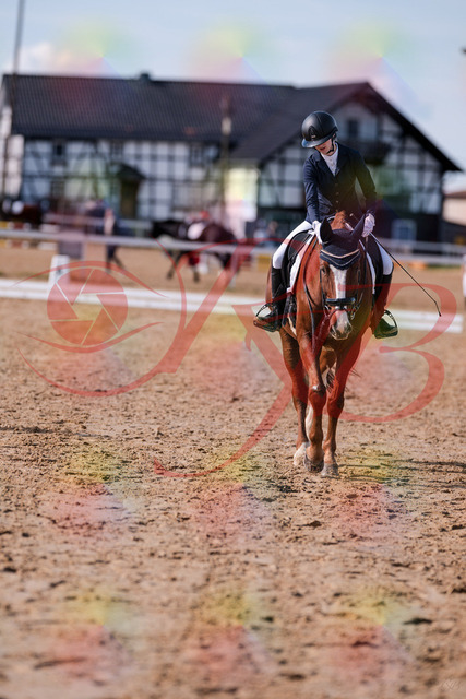 2026_10_03_Siefer-Hof_133318_Z81_91951336 | Professionelle Reitsport-, Turnier- und Eventfotografie von Robert Broda. Galerien mit ausgewählten und bearbeiteten Bildern direkt online ansehen und bestellen.