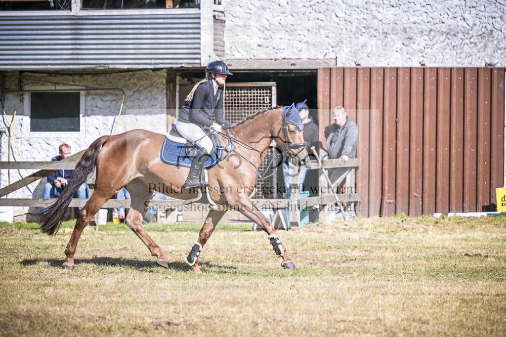 DOS_0981 | Entdecke hochwertige Reitturnierfotos von Foto Oger. Professionell, emotional und authentisch – jetzt Lieblingsmomente im Shop bestellen.Deutschlandweite Turnierfotografie. - Realisiert mit Pictrs.com