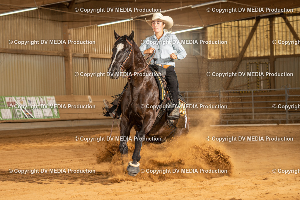 NID02212 | dv-media-shop - Realisiert mit Pictrs.com