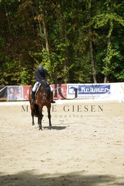 VAN02413 | Marie Giesen Fotografie - Realisiert mit Pictrs.com