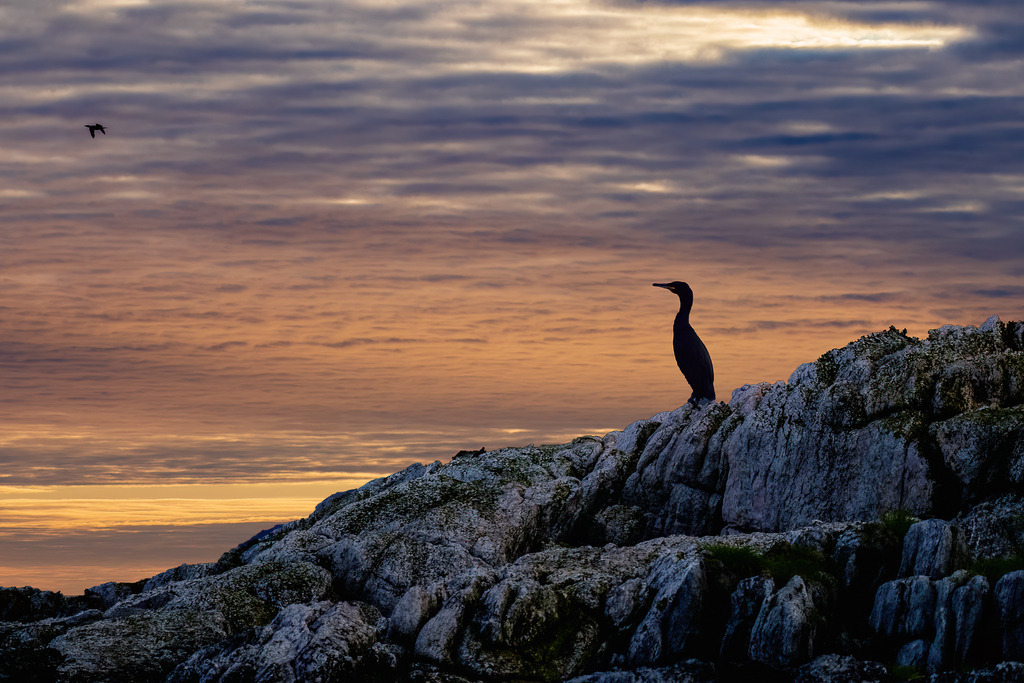 P1003996-Bearbeitet-Bearbeitet-2022-LR | Natur im Moment - Realisiert mit Pictrs.com