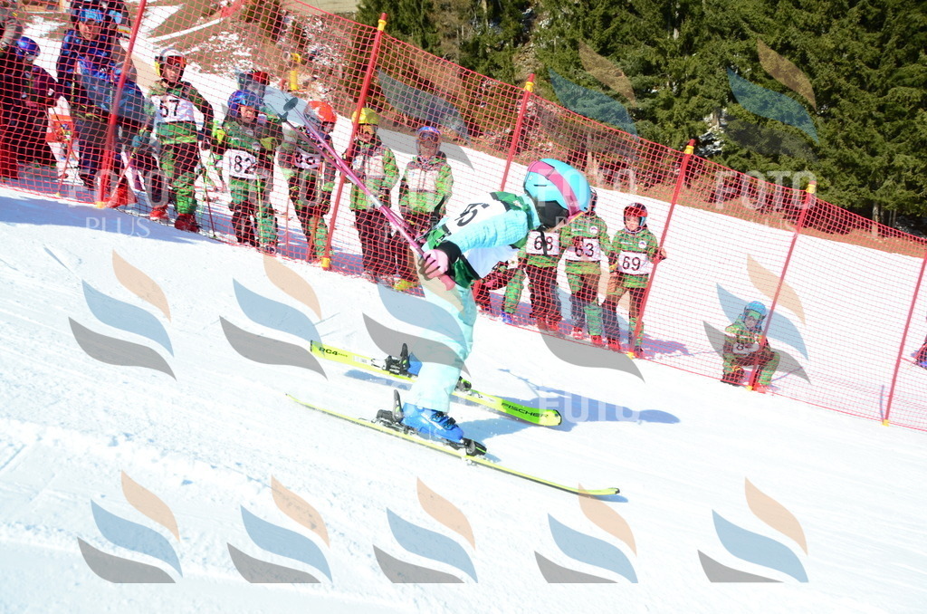 C5112 | holidayphoto