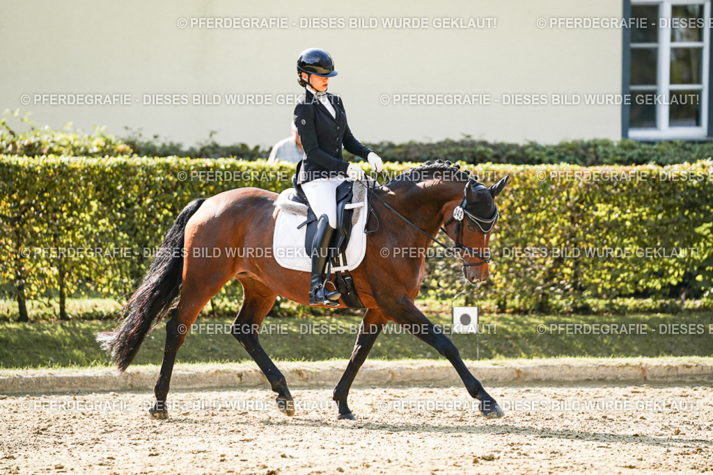 DSC07291 | Pferdegrafie