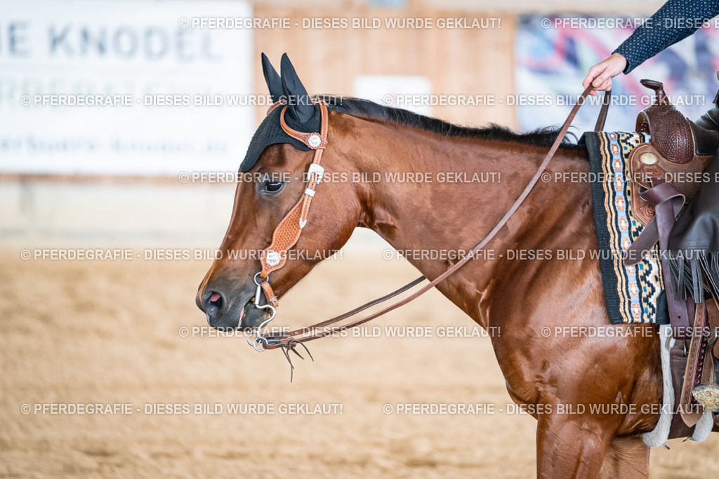 DSC08468 | Pferdegrafie