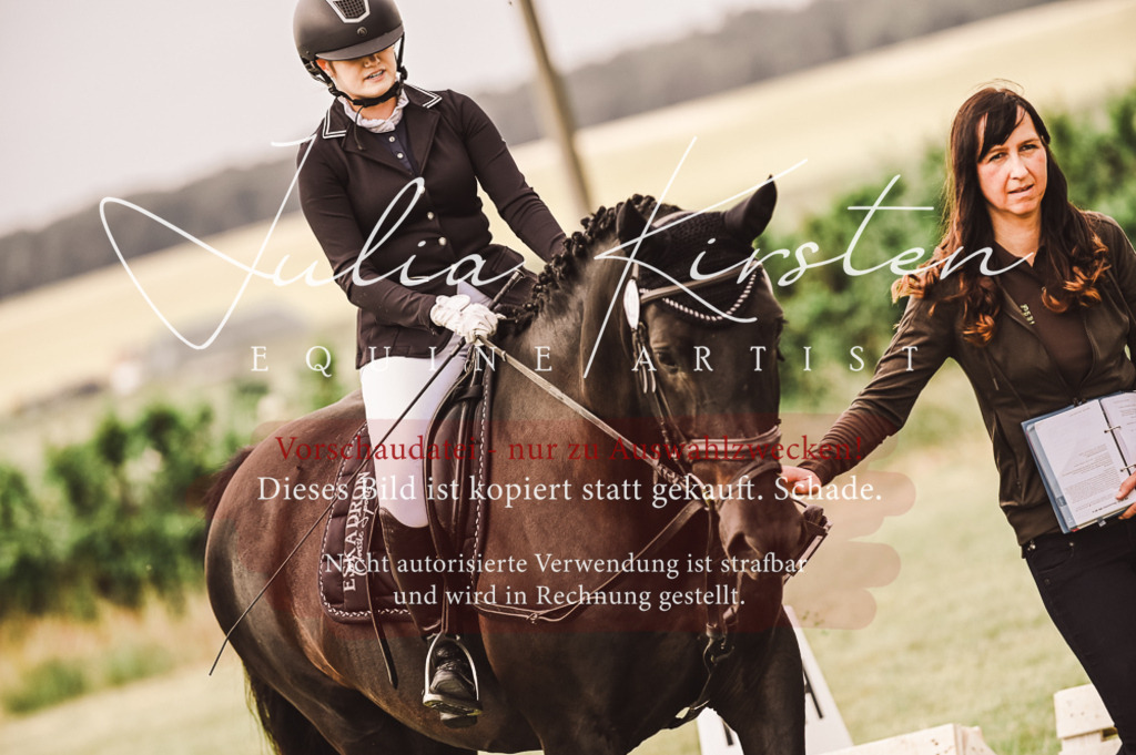 DSC_4876 | Pferde- und Turnierfotografie in Westsachsen. Pferdeportraits, Auftragszeichnungen und intuitive Kunst.