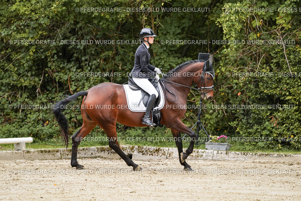 DSC08947 | Pferdegrafie