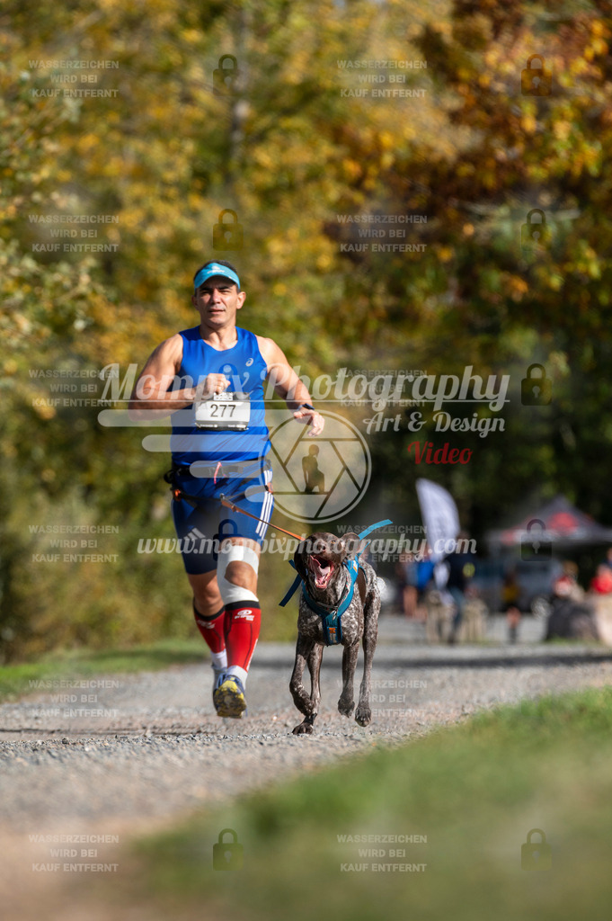 TSB_2023_E2_Canicross-139 | mompixphotography