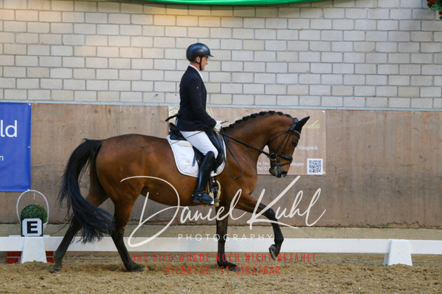 IMG_2764 | Turnierfotos kaufen im Webshop von Daniel Kuhl Photography – entdecke professionelle Reitsportfotos aus Turnieren & Events. Hochwertige Turnierbilder online bestellen & sichern. Jetzt Fotos von Reitsportturnieren kaufen!