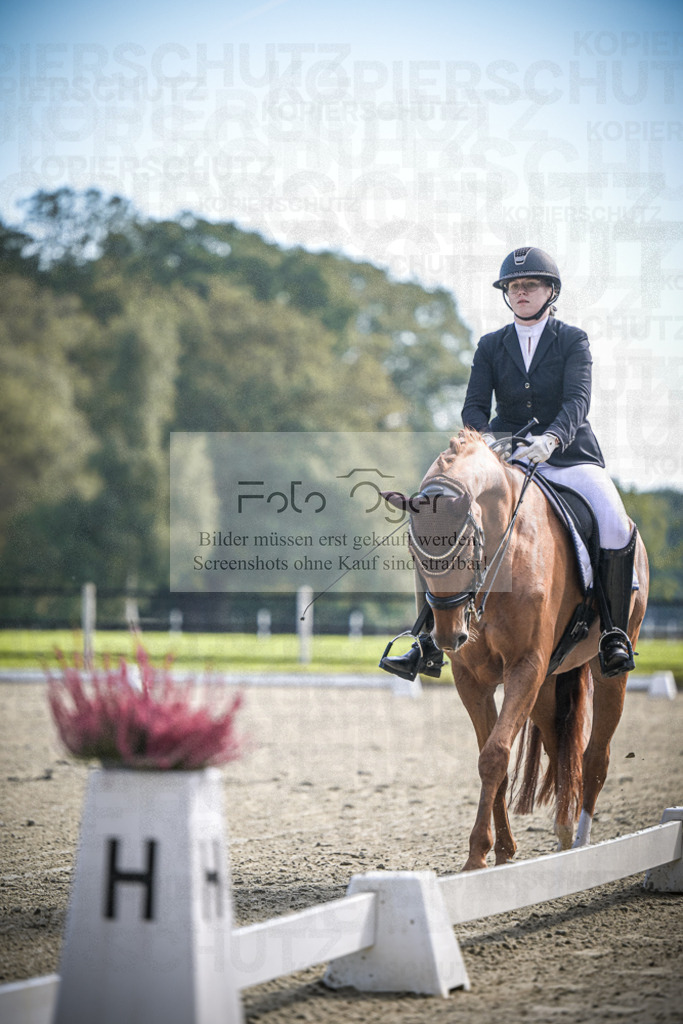 DOS_1212 | Entdecke hochwertige Reitturnierfotos von Foto Oger. Professionell, emotional und authentisch – jetzt Lieblingsmomente im Shop bestellen.Deutschlandweite Turnierfotografie. - Realisiert mit Pictrs.com