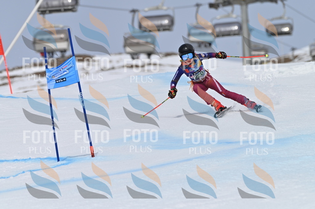 BGV_4302 | holidayphoto