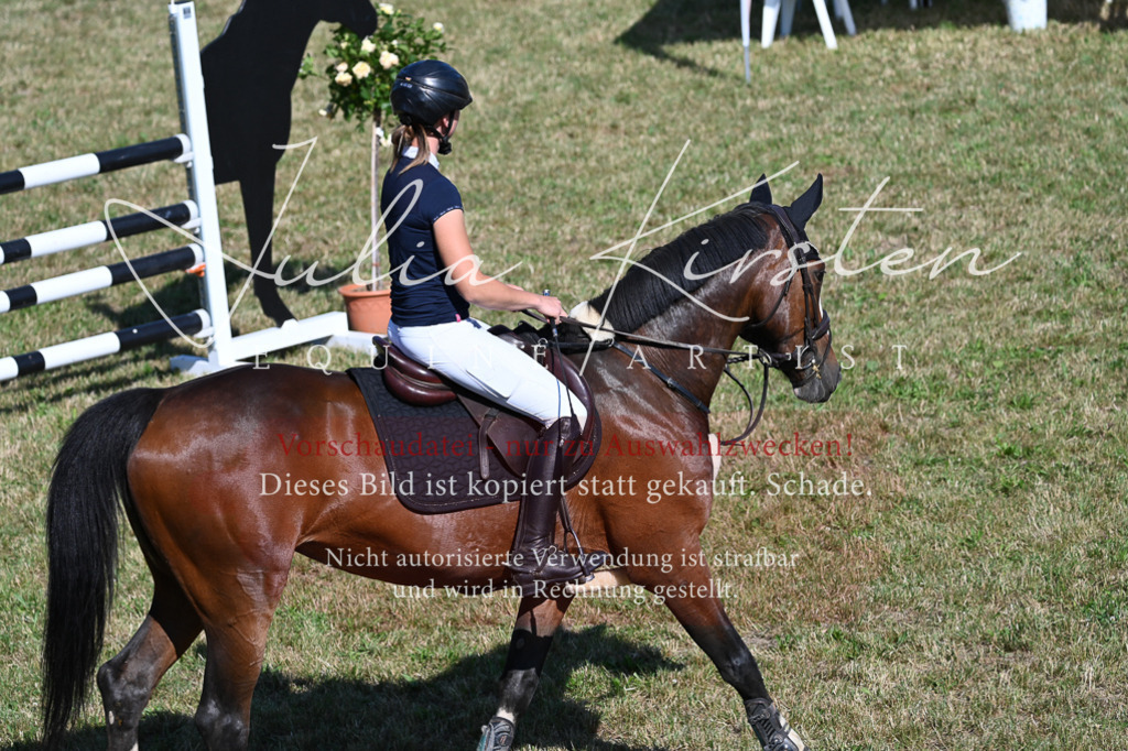 DSC_2014 | Pferde- und Turnierfotografie in Westsachsen. Pferdeportraits, Auftragszeichnungen und intuitive Kunst.