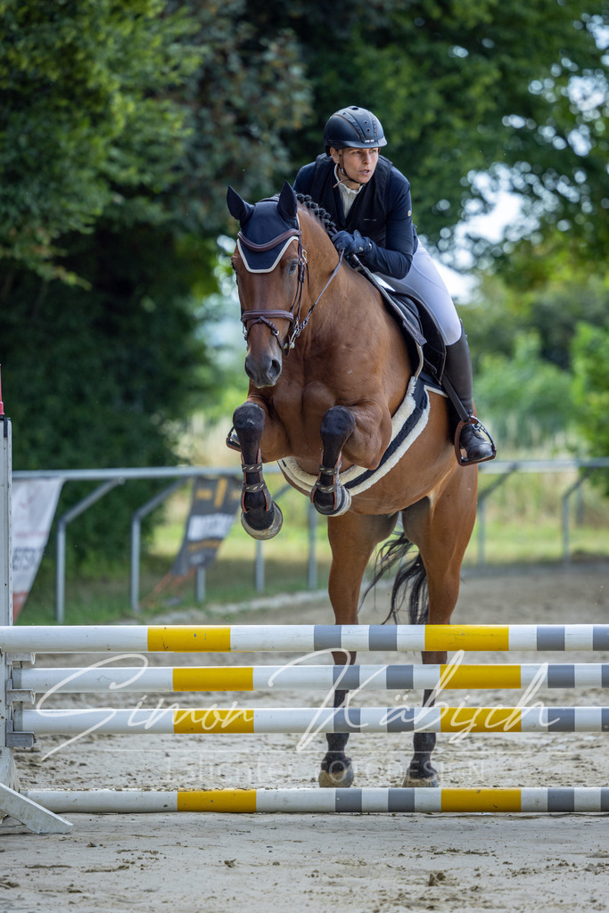 20260704-_3LI6607 | Tierfotografie Pferde, Hunde, Katzen, Haustiere.
Turnierfotografie Reitturniere, Reiten, Springreiten, Dressur in Hanau, dem Main-Kinzig-Kreis und dem Rhein-Main- Gebiet um Frankfurt