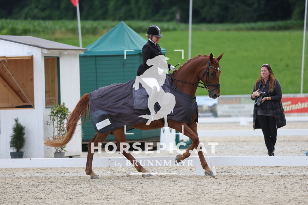 0P6A8179 | Willkommen bei Brunnmayr - Design & Fotografie – Ihrem Spezialisten für Reitturniere und Pferdeveranstaltungen in Oberösterreich, Salzburg und Bayern! Seit über 17 Jahren sind wir leidenschaftlich dabei.