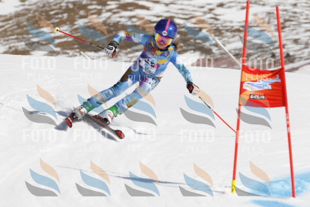 _U3G9483 | holidayphoto