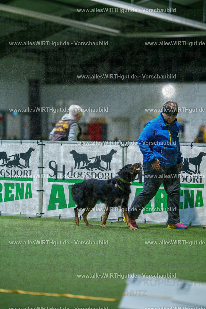 7R503959 | Professionelle Tierfotografie in Mönchengladbach von Daniel Wirth (allesWIRTHgut). Liebevolle & natürliche Bilder von Hunden & Katzen für unvergessliche Erinnerungen.