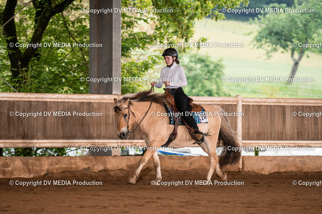 Erbach Tag 4-458 | dv-media-shop - Realized with Pictrs.com