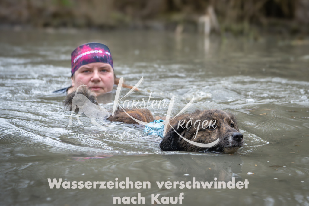 0959_ZZ94425 | kk-dogfotos