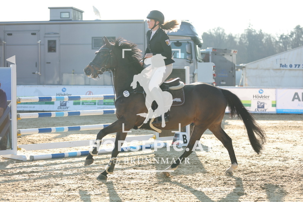 0P6A7200 | Willkommen bei Brunnmayr - Design & Fotografie – Ihrem Spezialisten für Reitturniere und Pferdeveranstaltungen in Oberösterreich, Salzburg und Bayern! Seit über 17 Jahren sind wir leidenschaftlich dabei.