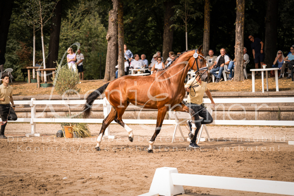 6.Fr00107 | Leoni Ertmer Photography - Realisiert mit Pictrs.com