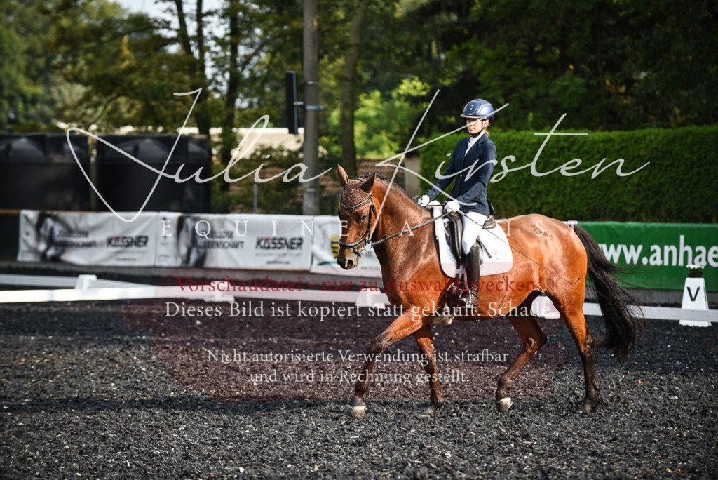 DSC_3357 | Pferde- und Turnierfotografie in Westsachsen. Pferdeportraits, Auftragszeichnungen und intuitive Kunst.