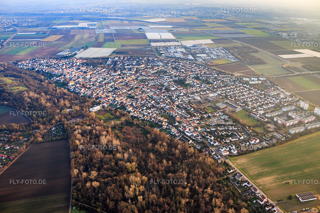 Ortsansicht von Norden | Luftbild: Ortsansicht von Norden im Ortsteil Maudach in Ludwigshafen im Bundesland Rheinland-Pfalz in Deutschland. Foto: IMG_152072.jpg vom 12.12.2025 durch Werner Riehm/FLY-FOTO.de - Realisiert mit Pictrs.com