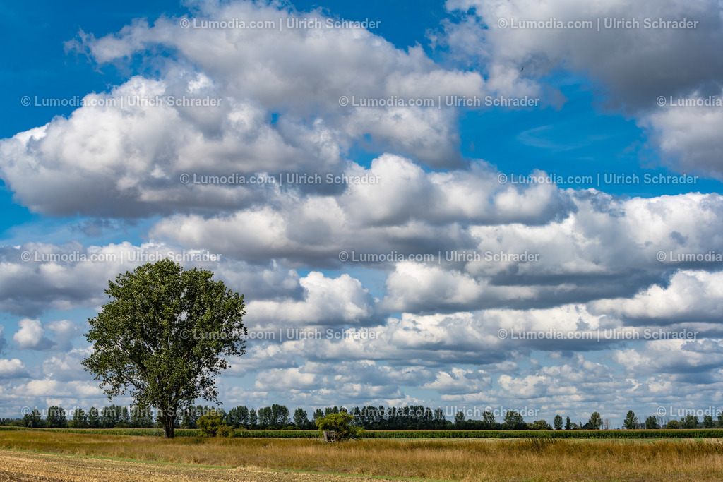 10049-12523 - Am Großen Bruch | Stockfoto und Bilderpool mit Bildmaterial aus Deutschland, dem Harz, Halberstadt, Quedlinburg, Wernigerode und weltweit. Qualitativ hochwertige und professionelle Fotos anschauen und kaufen. - Realisiert mit Pictrs.com