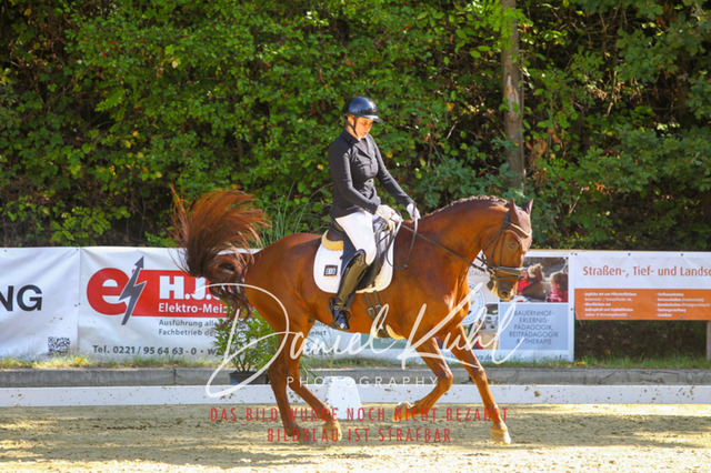 DKP41819 | Turniersportfotografie; Pferdefotografie; Dressurfotografie