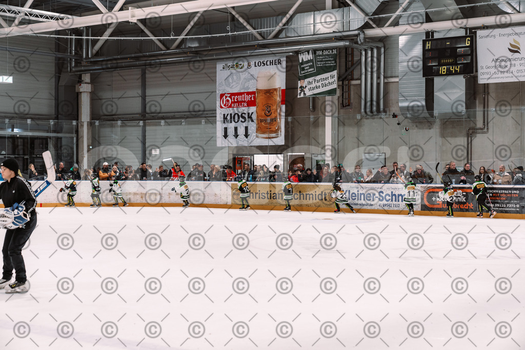 Alligators_vs_Stuttgart_16_11_2025-85 | Höchstadt Alligators Fotogalerie: Eishockey-Action aus Franken. Professionelle Spielfotos, Portraits & Stadionbilder zum Download. Jetzt entdecken! - Realisiert mit Pictrs.com
