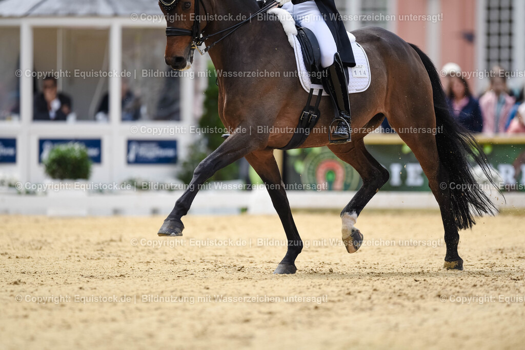 20250607_1_GP-Tour_Dressage_0089 | Foto: Thomas Hartig