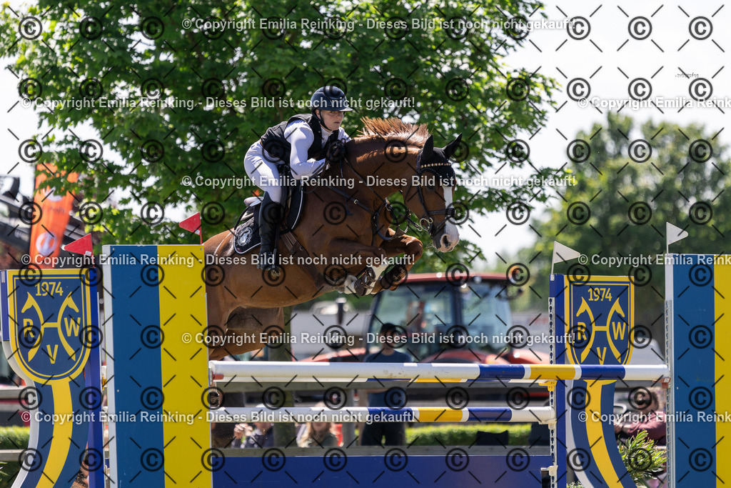 CL5A1141 | Emilia Reinking Fotografie - Realisiert mit Pictrs.com