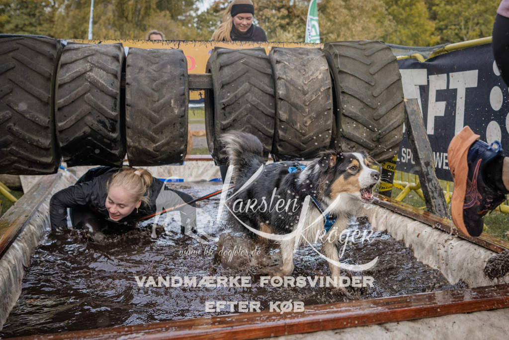1452_ZZ90541 | kk-dogfotos