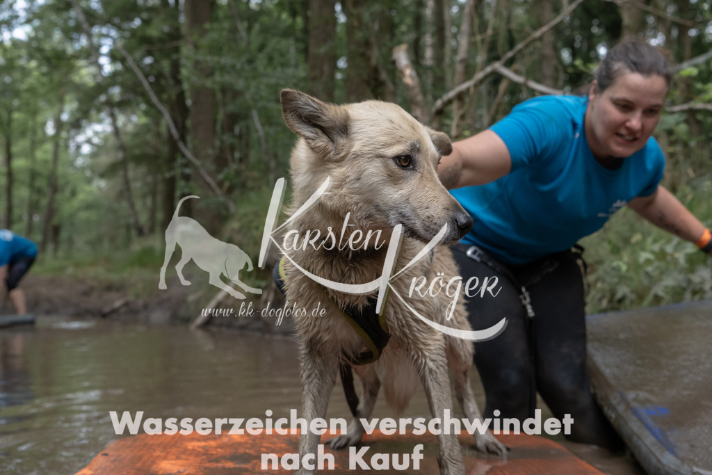 1359_ZZ96617 | kk-dogfotos