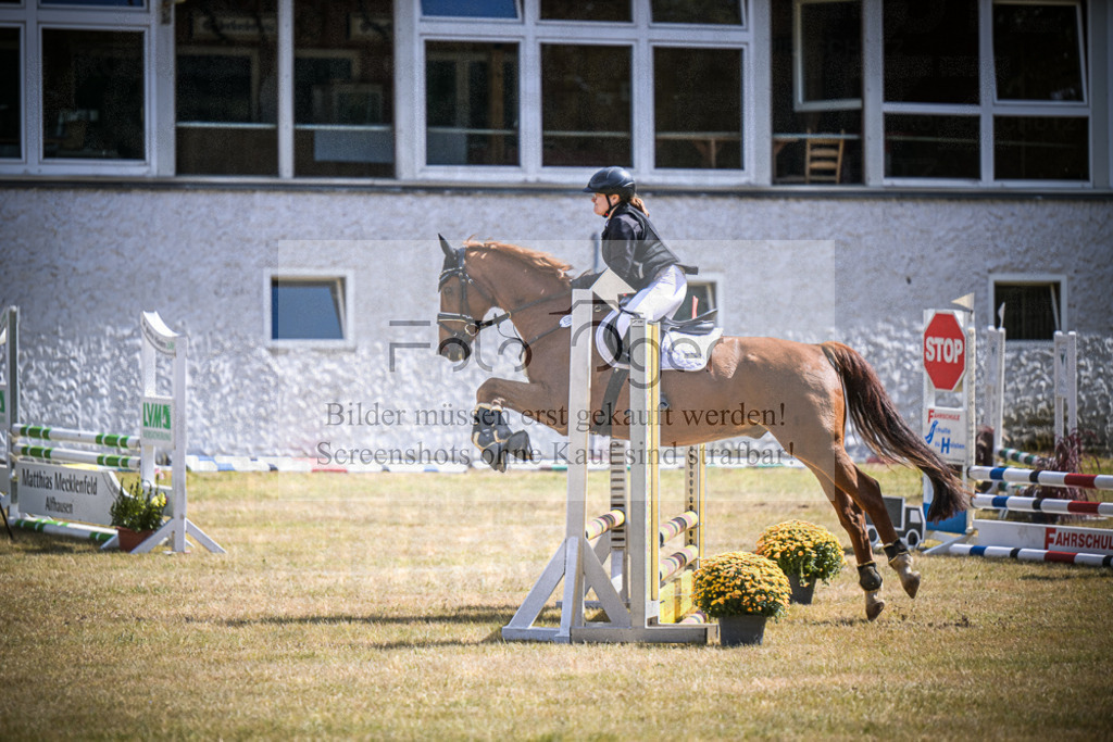 DOS_0307 | Entdecke hochwertige Reitturnierfotos von Foto Oger. Professionell, emotional und authentisch – jetzt Lieblingsmomente im Shop bestellen.Deutschlandweite Turnierfotografie. - Realisiert mit Pictrs.com