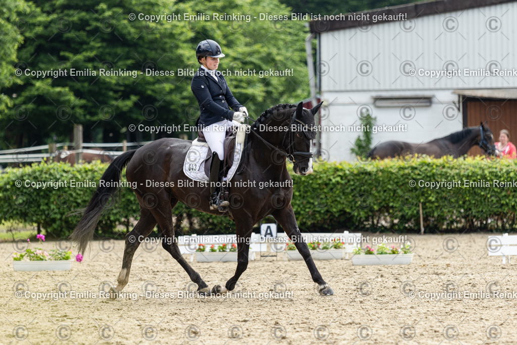 CL5A4873 | Emilia Reinking Fotografie - Realisiert mit Pictrs.com