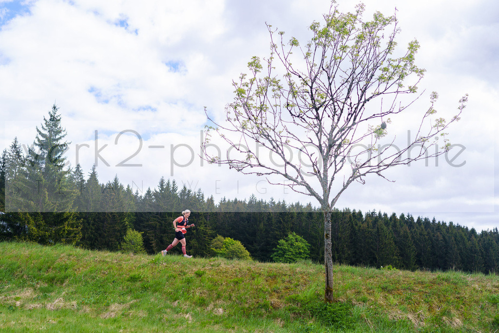 Rennsteiglauf Marathon 2025 | Marathon von Neuhaus/Rwg. nach Schmiedefeld/Rstg. am 17. Mai 2025
