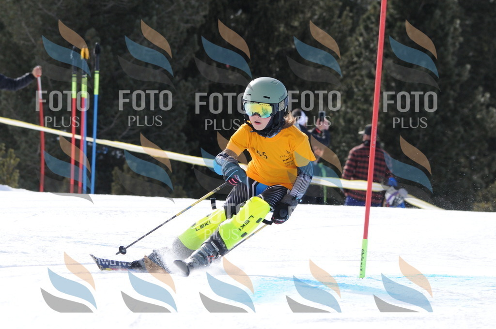 C7317 | holidayphoto