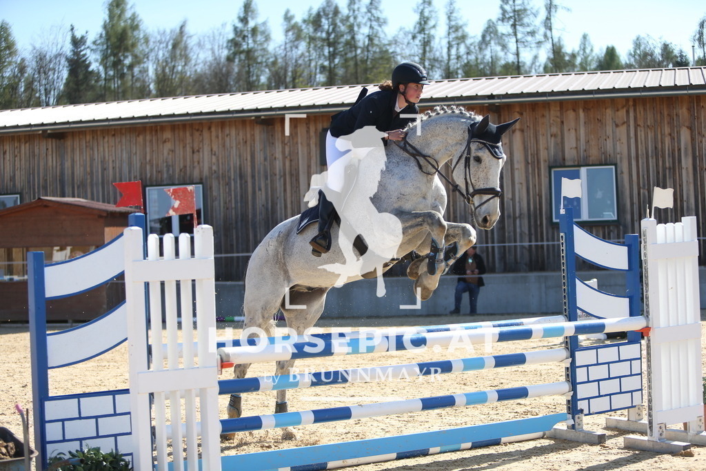 DL2Q5686 | Willkommen bei Brunnmayr - Design & Fotografie – Ihrem Spezialisten für Reitturniere und Pferdeveranstaltungen in Oberösterreich, Salzburg und Bayern! Seit über 17 Jahren sind wir leidenschaftlich dabei.