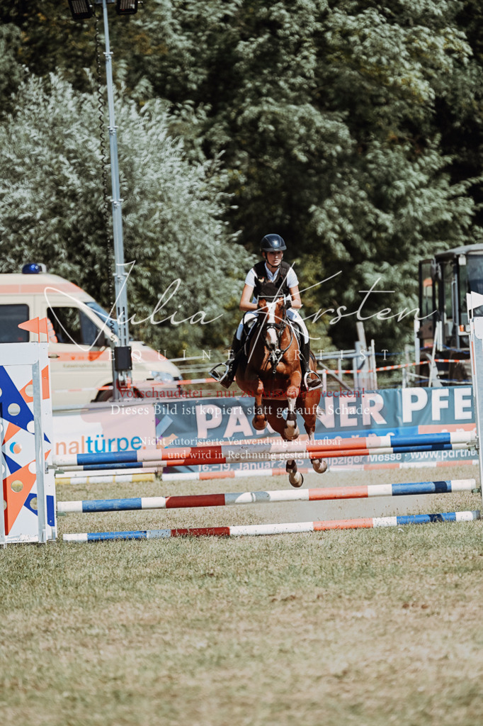 DSC_9932 | Pferde- und Turnierfotografie in Westsachsen. Pferdeportraits, Auftragszeichnungen und intuitive Kunst.