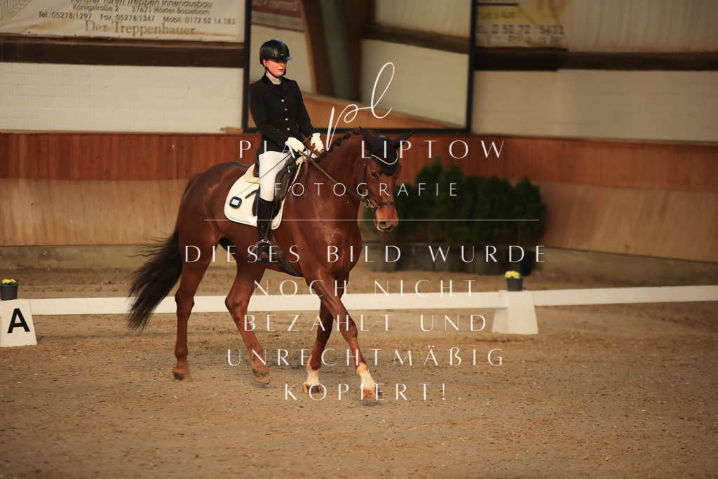 IMGT3340 | pl-fotografie