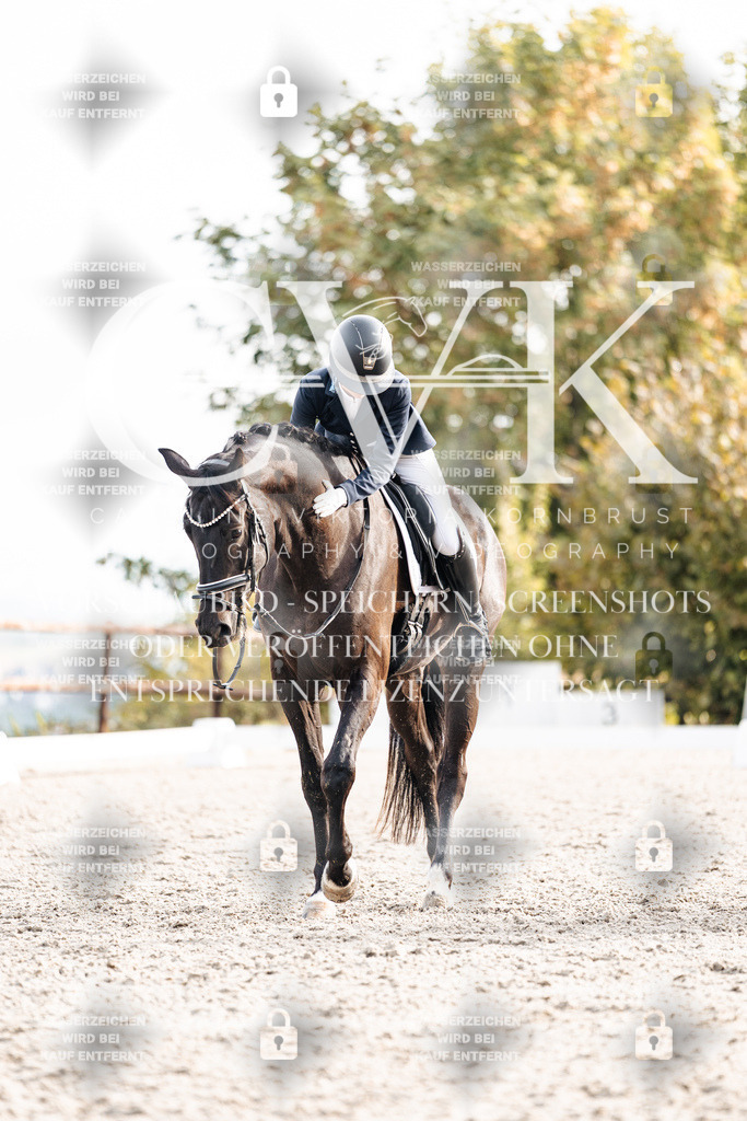 CK901171 | Turnierfotografie Pferdefotografie Trier Rheinland-Pfalz Pferdesport Reitsport Tierfotografie Sportfotografie Pferdevideo Pferdevideografie Equestrianvideography equestrianphotography  - Realisiert mit Pictrs.com