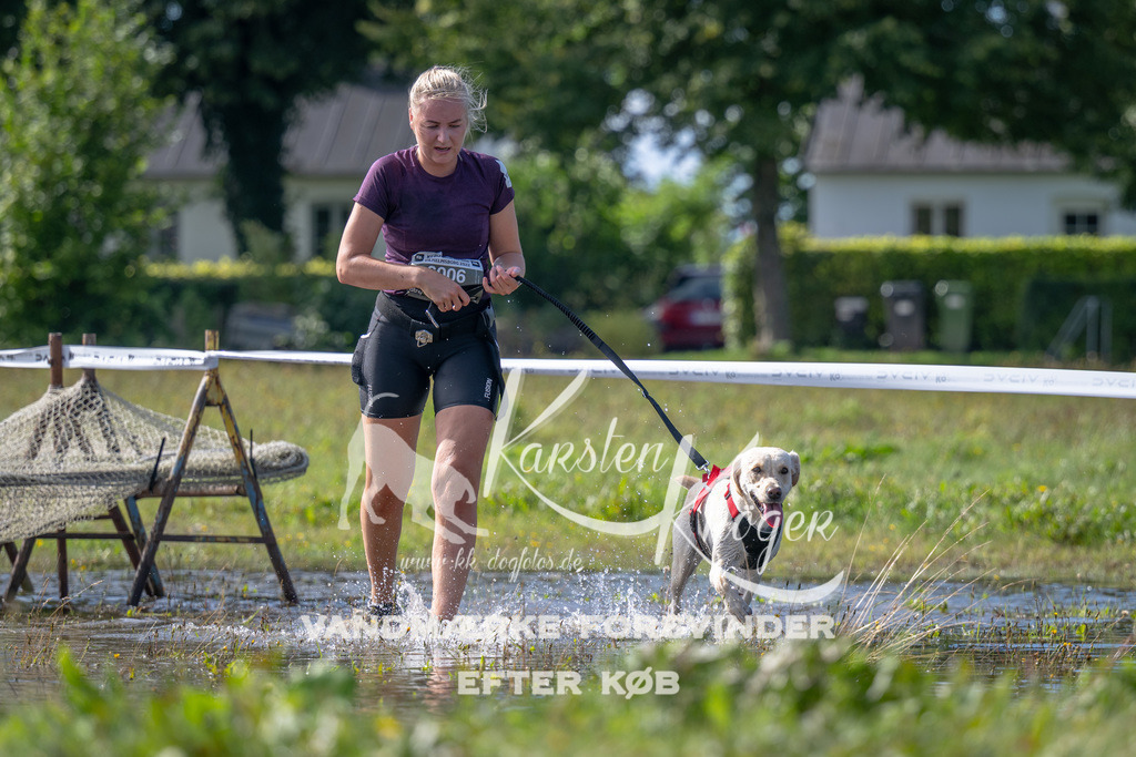 1139_ZZ90921 | kk-dogfotos
