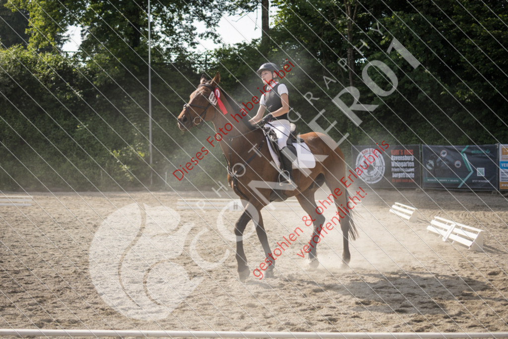 IMG_6148 | Sport-, Event- und Tierfotos in Profiqualität. Einfach auswählen, bestellen und herunterladen. Dein Moment – perfekt festgehalten.