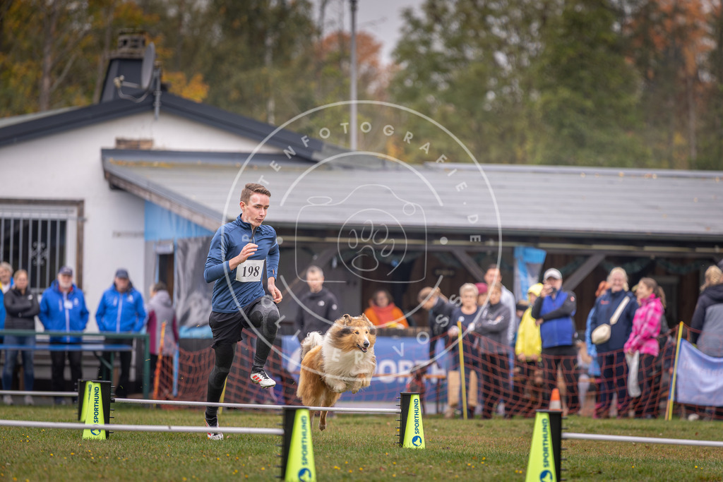 Pfotenfotografie_DV3A0770 | Hundefotografie, Tierfotograf, Pfotenfotografie, Fotoshooting Hund, Hunde Portrait, Hundesport, Hundeportraits, Heideshooting, Hunde, Sportfotograf, Hundefotograf, Turnierhundsport, THS,  - Realisiert mit Pictrs.com