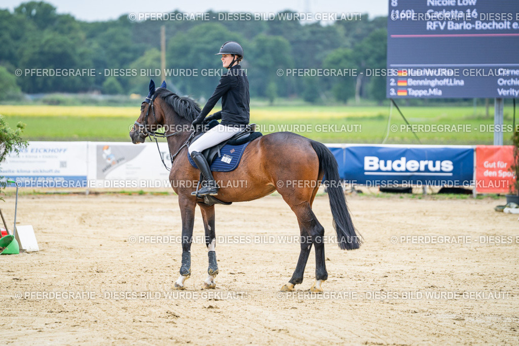 DSC03462 | Pferdegrafie